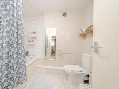 Picture 8